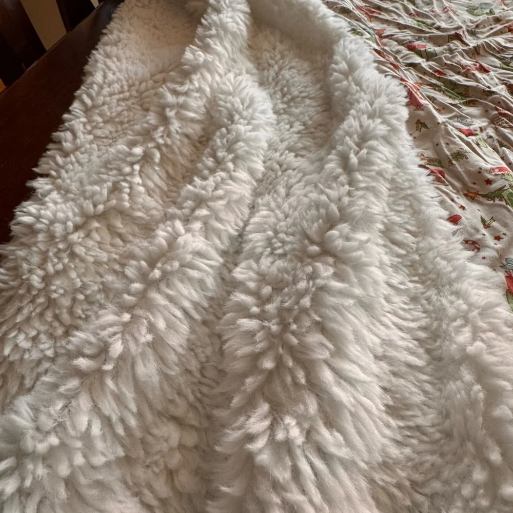 Scoots Festive Holiday - Grinch Plush blanket